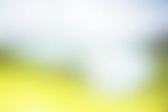 Mint Casino Kundeservice